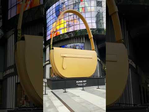 burberry bag ion